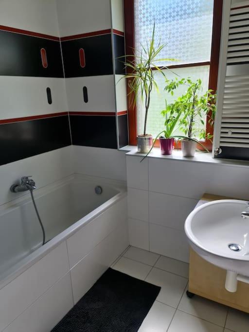 Comfortable Apartment! Praga Zewnętrze zdjęcie